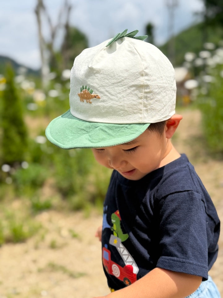 Stegosaurus Cap